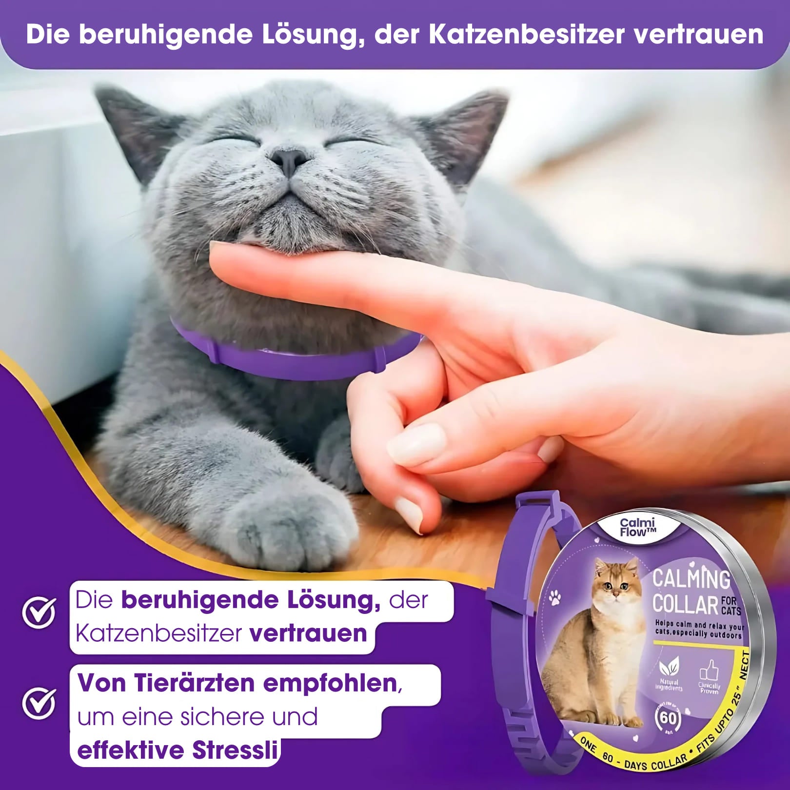 Calmi - Katze