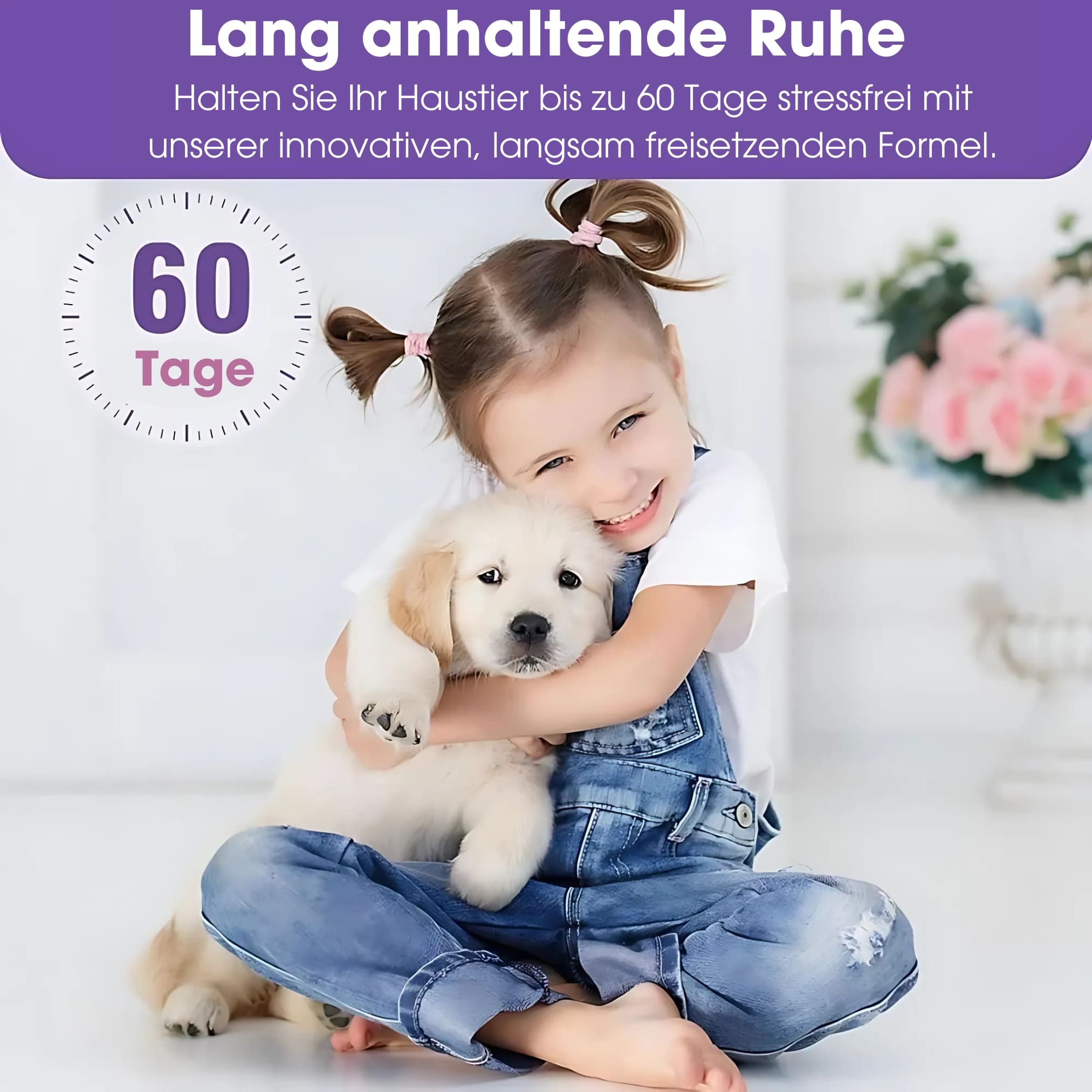 Calmi - Hund