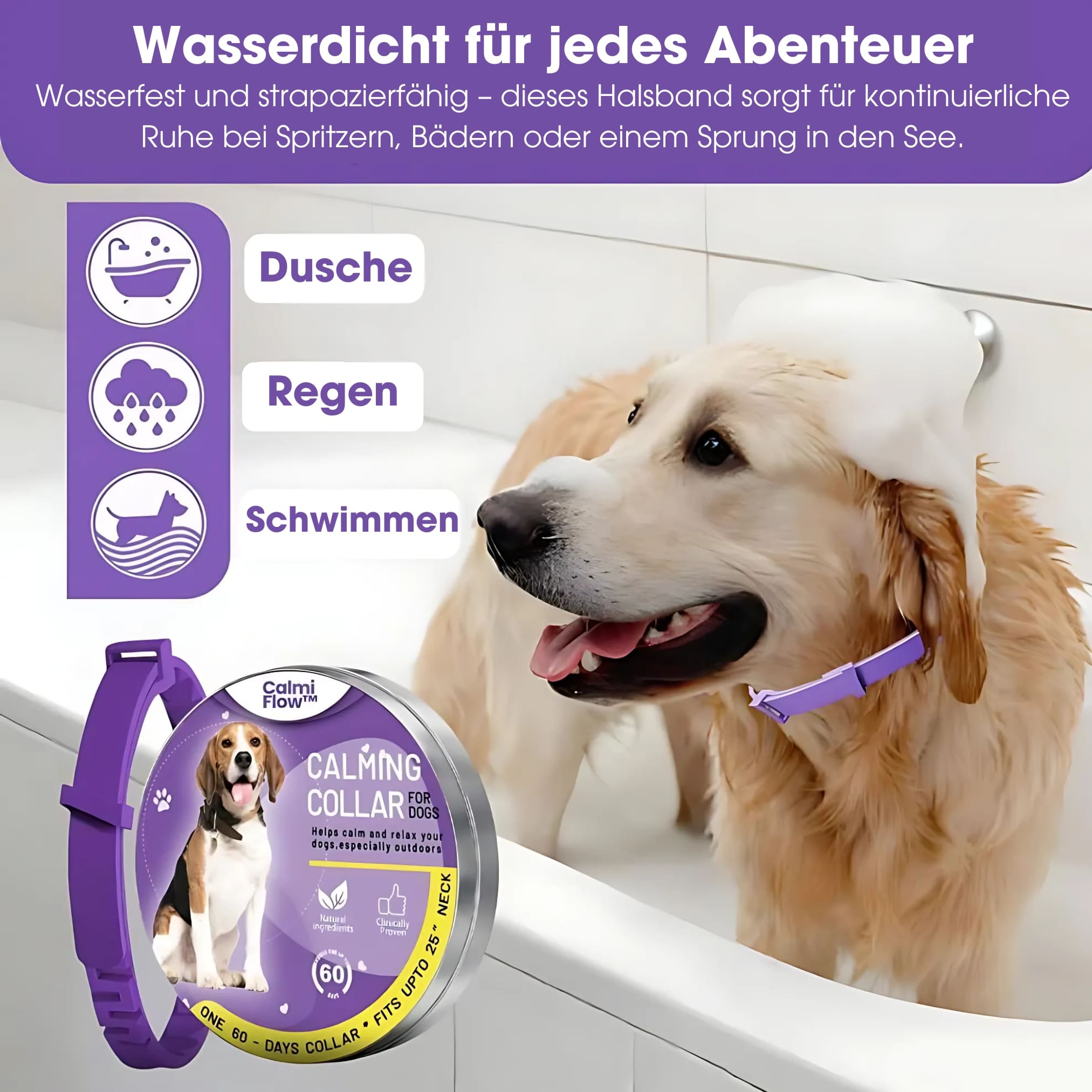 Calmi - Hund
