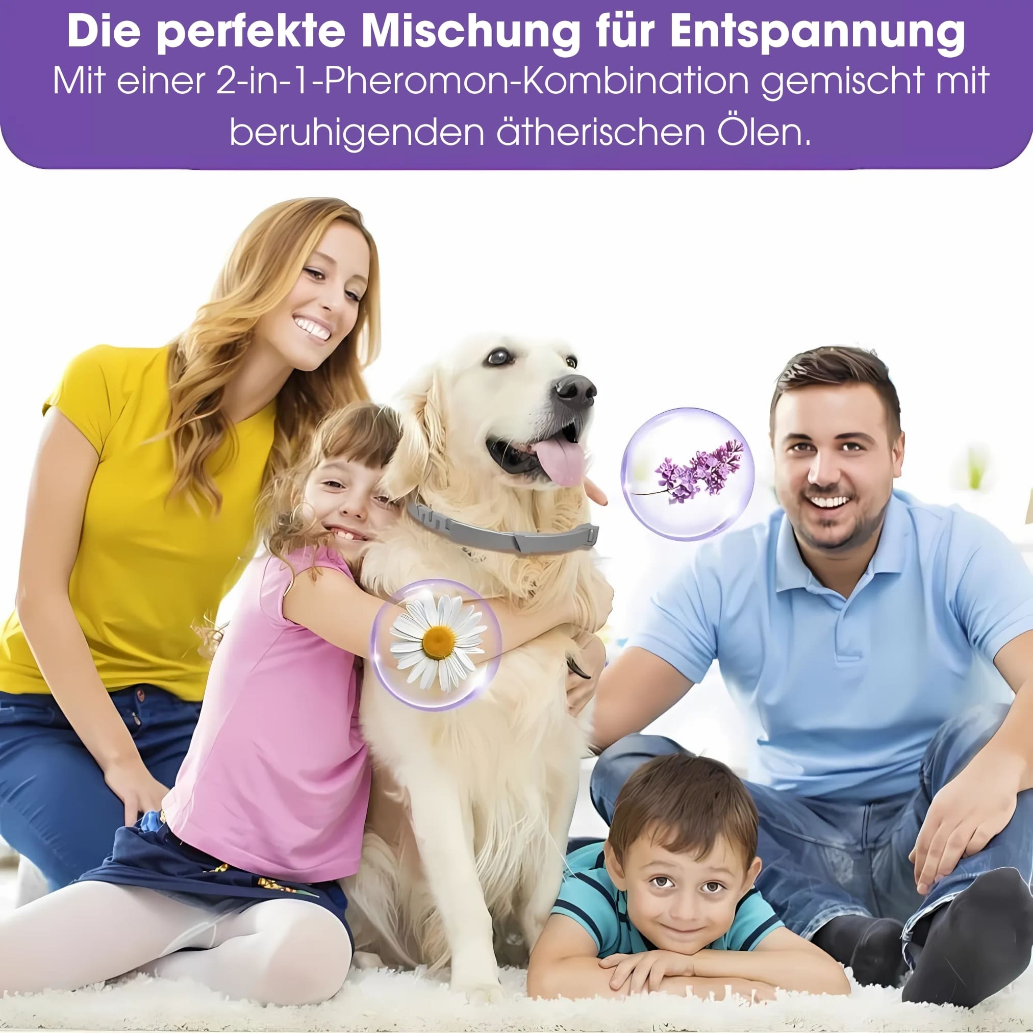 Calmi - Hund